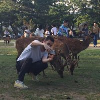 JB Morel (@jb__morel) 's Twitter Profile
