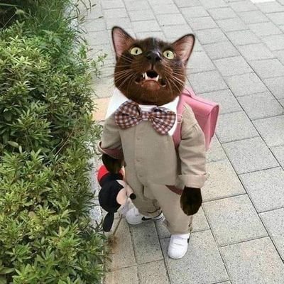 TobtyShop's profile picture. 