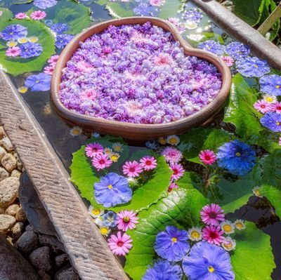 lunaluca70's profile picture. 政治についてのリポストが中心。
いじめ問題も投稿します（子ナシで、私自身が不登校経験者。いじめ後遺症が人生に起こした悪影響に、今でも苦しんでいます）。
（※フォロー解除は、気軽にどうぞ♪）