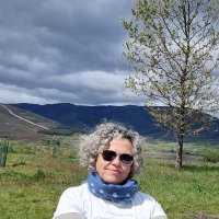 Remedios Barrera (@remediosbarbar) 's Twitter Profile