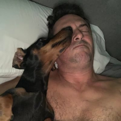 fredtoons's profile picture. 