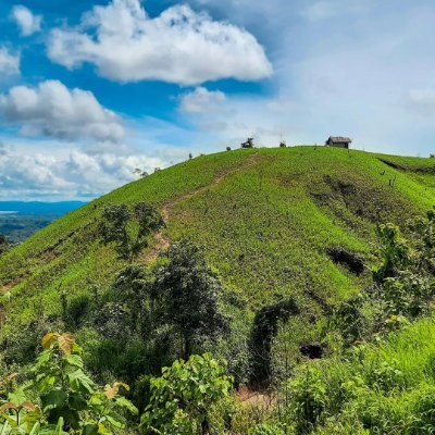 Misbah1484924's profile picture. 🙂