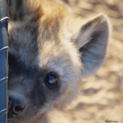 mokurinnnn's profile picture. 