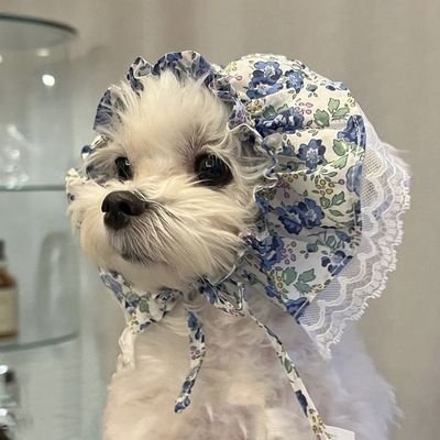 kimminnne588's profile picture. 함께 영화 속에서 감동과 재미를 느껴보세요! 😍
여기는 영화 리뷰, 추천, 명대사, 그리고 주인공들의 멋진 모습을 함께 즐길 수 있는 공간입니다. 💭
함께 영화의 세계에 빠져보세요! 🎬
#영화 #영화추천 #영화리뷰