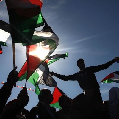 Sekaijunoharu's profile picture. Free Palestine