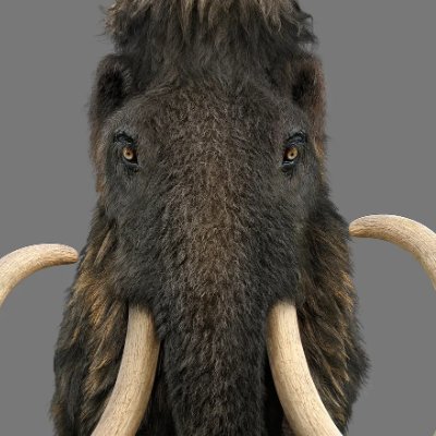 TruthShines7's profile picture. .