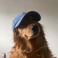 ทุกคนมีสิทธิที่จะร้องไห้ (@calloutmynamess) 's Twitter Profile Photo ทุกคนมีสิทธิที่จะร้องไห้ (@calloutmynamess) 's Twitter Profile Photo