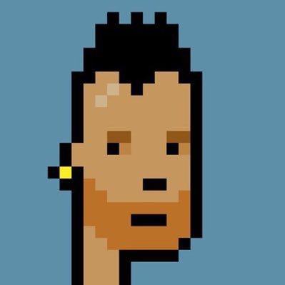 0xSynoptic's profile picture. Researcher. Degen. Author.