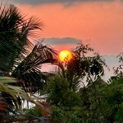Author, “Kundalini yoga for All’ published by Penguin. Yoga teacher. Journalist, Taught Media at XIC,Mumbai. https://t.co/9UKcdlZjjQ