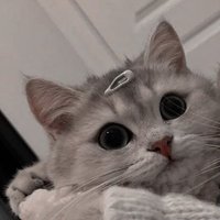 ca🍉 (@bioccatalyst) 's Twitter Profile