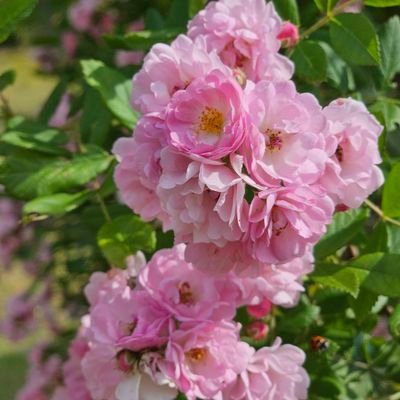 kNv0V4As7r70267's profile picture. 2児の母。