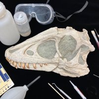 岡山理科大学 生物地球学部 恐竜学科 (@ousdinosaur) 's Twitter Profile Photo 岡山理科大学 生物地球学部 恐竜学科 (@ousdinosaur) 's Twitter Profile Photo