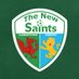 The New Saints FC (@tnsfc) Twitter profile photo