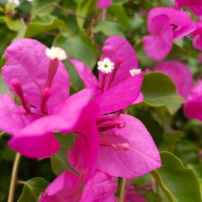 ehsanmian2015's profile picture. God help those who help themselves