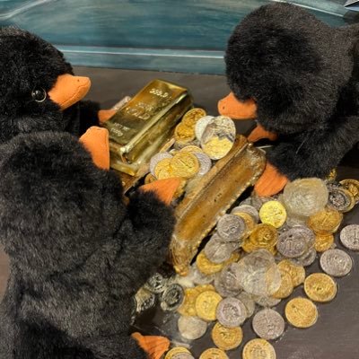 BvXy0qZwhy84279's profile picture. 