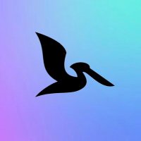95V Pellicans (PROFESSIONAL DROMAPS) (@pellicans07) 's Twitter Profile