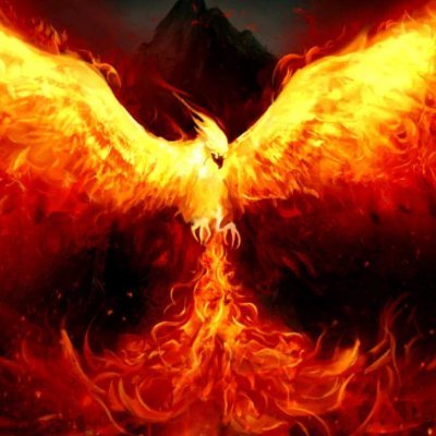 ankushplus_7's profile picture. 