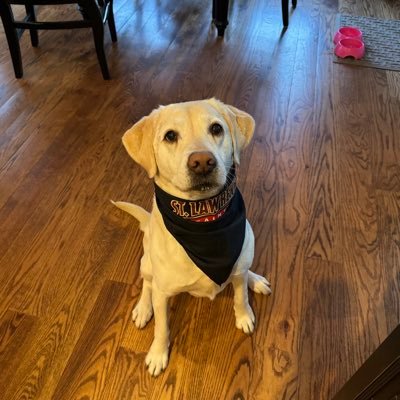 valleraj's profile picture. 