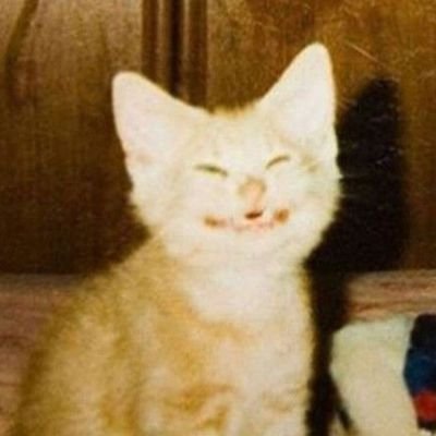 vafla283591's profile picture. 