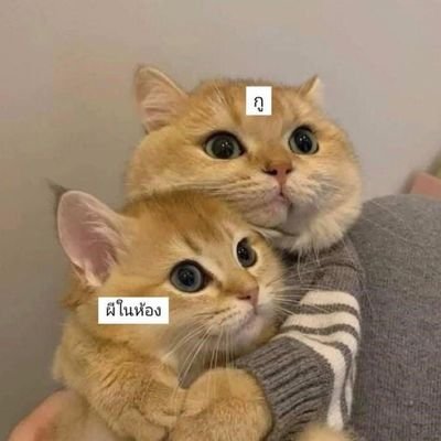 Pandorabvenluls's profile picture. CHANBAEK SHIPPER & BOZHAN  #EXO #EXOL #CB