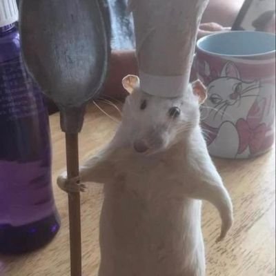 pyxer_j's profile picture. 