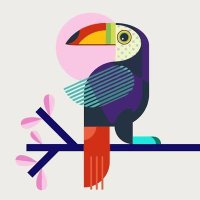 Nft's toucan exe. (@toucan_01) 's Twitter Profile Photo Nft's toucan exe. (@toucan_01) 's Twitter Profile Photo