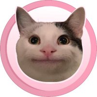 Polite Cat 😼 (@solpocat) 's Twitter Profile
