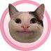 Polite Cat ๐ผ (@solpocat) Twitter profile photo Polite Cat ๐ผ (@solpocat) Twitter profile photo