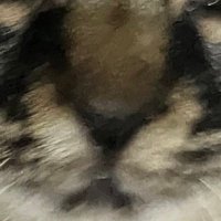 jijijijiji🌞 (@tai_m4th) 's Twitter Profile