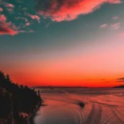 maei83813's profile picture. 