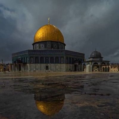 ZehranurYe84020's profile picture. 