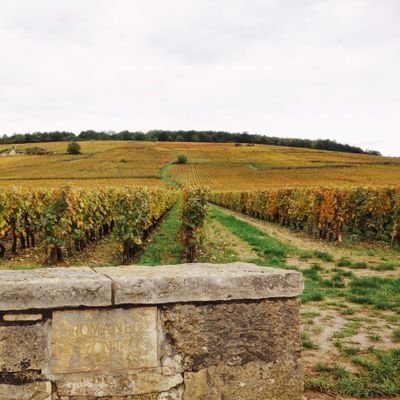 colchesteravig1's profile picture. biscoff biscuits and La Vazza Coffee