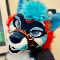 ๐บ KyeAD ๐บ ๐ CFz#339 (@kyeafterdark) 's Twitter Profile Photo ๐บ KyeAD ๐บ ๐ CFz#339 (@kyeafterdark) 's Twitter Profile Photo