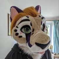 Fireforrest/ Evening PCD (@fireforrest1) 's Twitter Profile