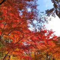 とめと (@tometo175489) 's Twitter Profile Photo