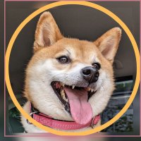 与作 @沼津北口🍻🍋🥟🎣🐕 (@yosaku_japan) 's Twitter Profile Photo 与作 @沼津北口🍻🍋🥟🎣🐕 (@yosaku_japan) 's Twitter Profile Photo