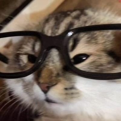 DATOさんのプロフィール画像