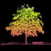 🌳🛰️🌲Remote Sensing FU Berlin🌲🛰️🌳 (@sensingfub) Twitter profile photo 🌳🛰️🌲Remote Sensing FU Berlin🌲🛰️🌳 (@sensingfub) Twitter profile photo