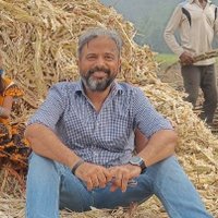 Nitesh Mohan Verma (@niteshmverma) 's Twitter Profile