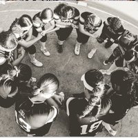 Steele Softball(@Slksoftball) 's Twitter Profile Photo