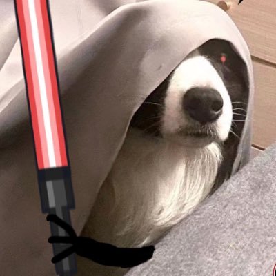 Disea_Li's profile picture. JAZZ Sax楽人。作曲が趣味です。日本語を勉強中！ SQUARE ENIX に入社を希望する！