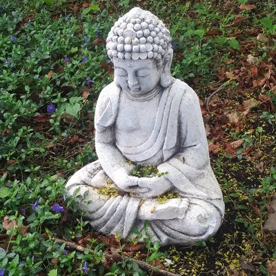 Reader, reviewer, reflector | Transcending politics with a focus on the stories we tell through books and films | Advocating for kindness in every sphere
