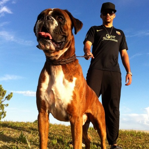 Naidiguy's profile picture. 