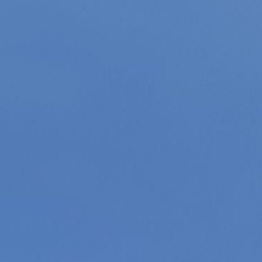 paulzxcvv's profile picture. 🌼