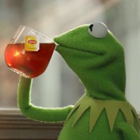 YungKermit🐸 (@yungkermit1) Twitter profile photo