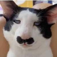Anak Pak Chot (@anakpakchot) 's Twitter Profile
