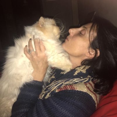 nazzaro5121's profile picture. 