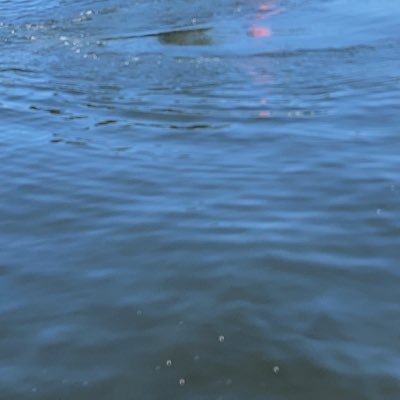 mtriggs_3's profile picture. Never look down on someone, unless you're helping them up ❤️ Matthew 26:39