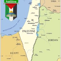 Baggywrinkle boi 🇮🇪🇵🇸 (@davidde11787386) 's Twitter Profile