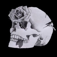 LostTechnology-骸 (@losttechnology1) Twitter profile photo